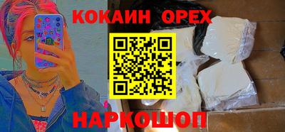 крисы Кингисепп