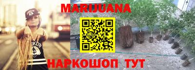 крисы Кингисепп