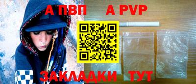крисы Кингисепп