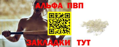 крисы Кингисепп