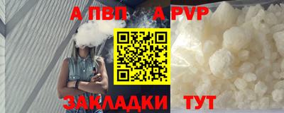 крисы Кингисепп