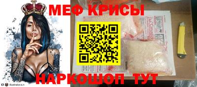 крисы Кингисепп