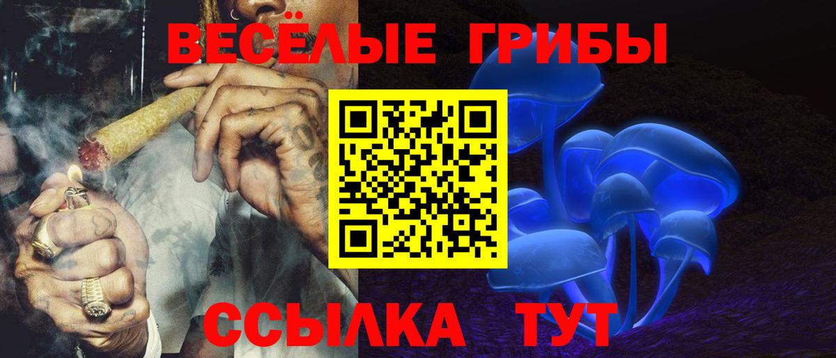 Галлюциногенные грибы GOLDEN TEACHER  Вход с VPN  Кингисепп 